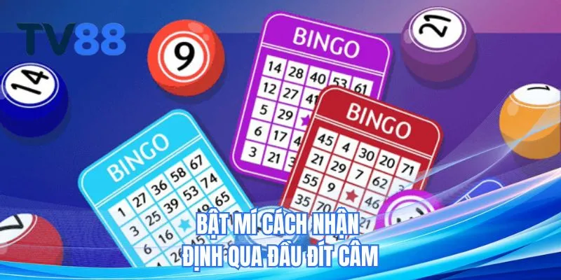 Bật mí cách nhận định qua đầu đít câm