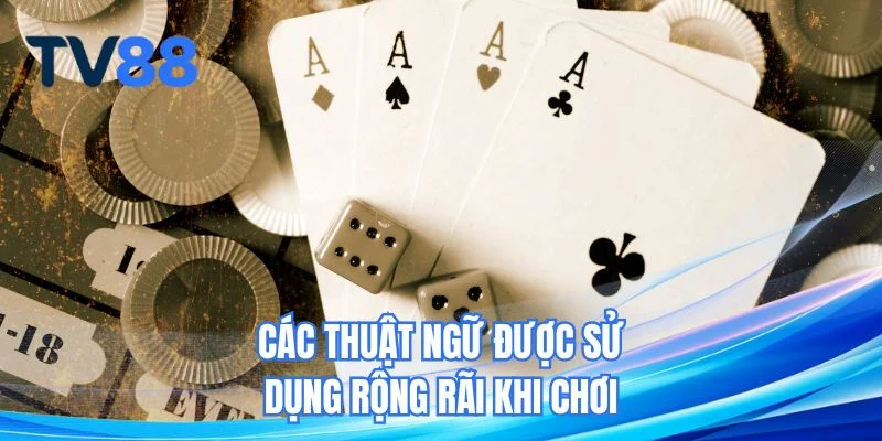 Các thuật ngữ được sử dụng rộng rãi khi chơi