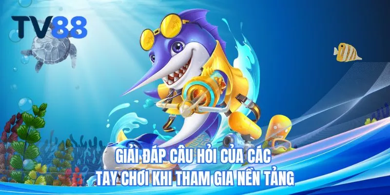 Giải đáp câu hỏi của các tay chơi khi tham gia nền tảng