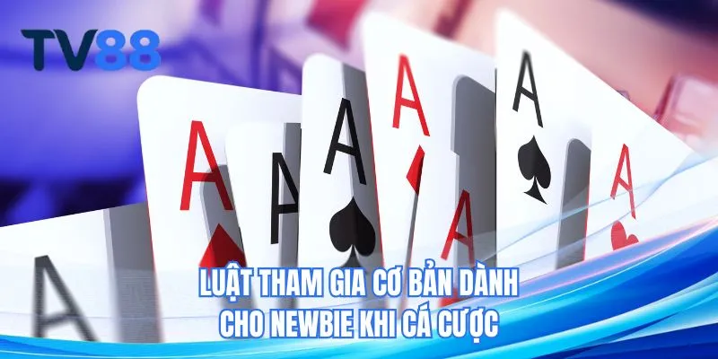 Luật tham gia cơ bản dành cho newbie khi cá cược