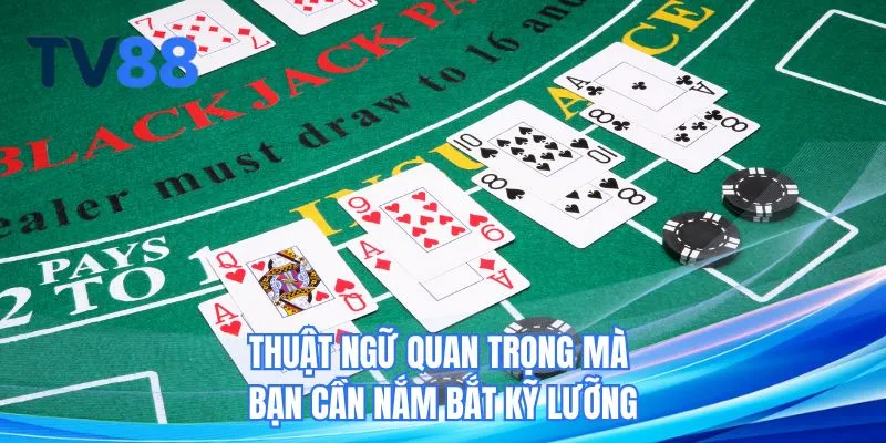 Thuật ngữ quan trọng mà bạn cần nắm bắt kỹ lưỡng