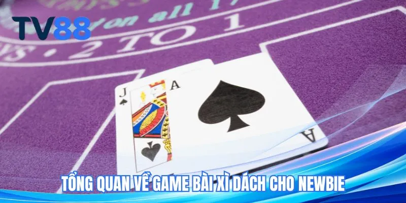 Tổng quan về game bài xì dách cho newbie